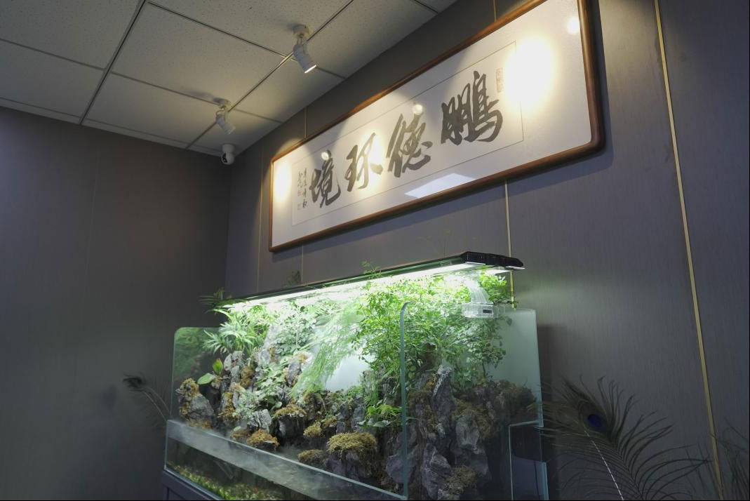 图片1.png